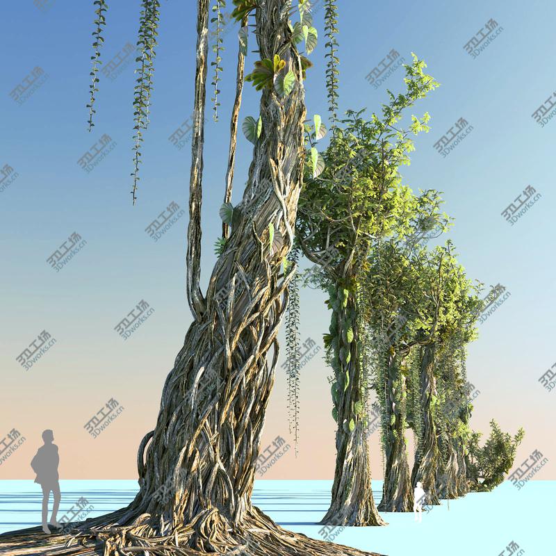 images/goods_img/20210113/Rain Forest ecosystems Pack 10/4.jpg